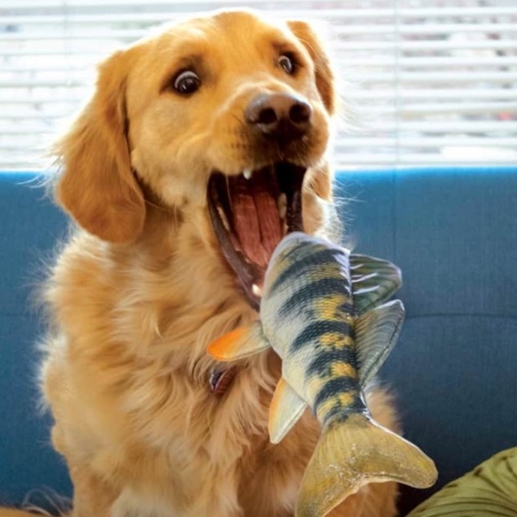 NWT KONG Wild Fish Dog Toy with Yellow and Black - Picture 2 of 3